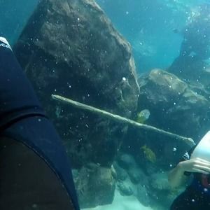 Meet your Posher, Alicia